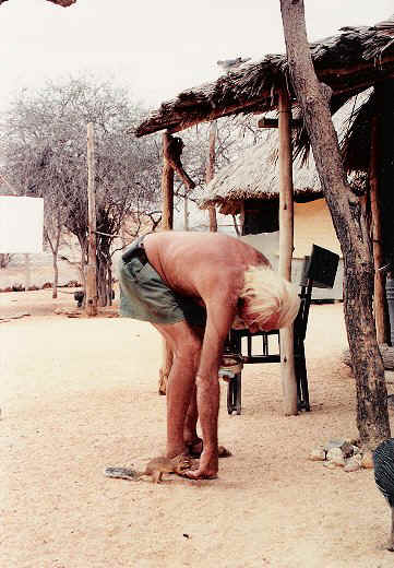 GeorgeAdamson_FeedingSquirrel.jpg (69191 bytes)