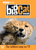BigCatDiary_DVD_Series3_Medium.gif (15690 bytes)