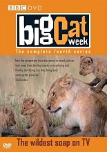 BigCatWeek_Series4_220_Nice.jpg (13211 bytes)