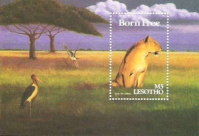 STAMP_BornFree_Lioness_280.jpg (36790 bytes)