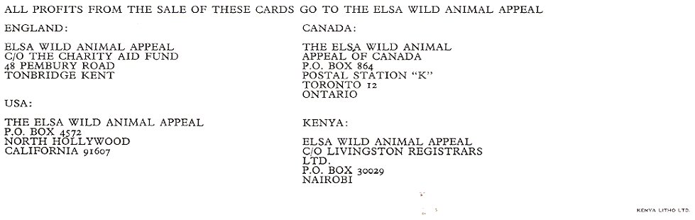 Card_Colobus_Monkeys_Joy_Painting_Back.jpg (46263 bytes)