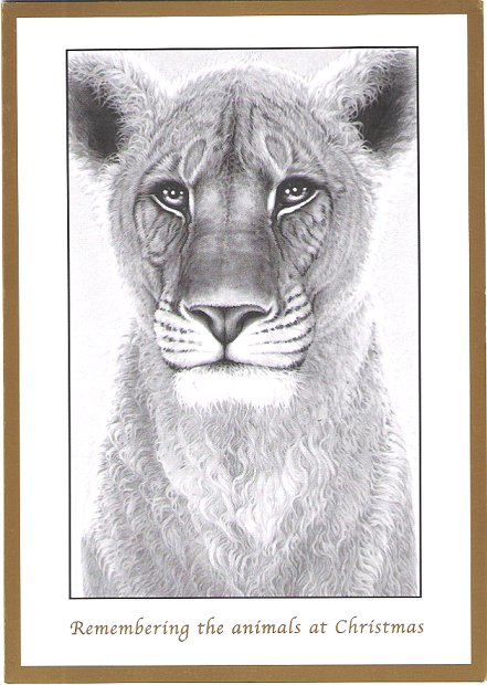 Card_Elsa_Lioness_Christmas_2005_BFF_680.jpg (66000 bytes)